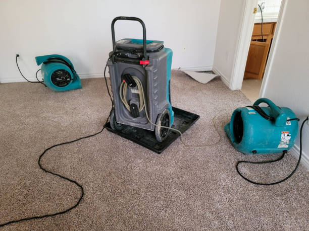Best Local water damage restoration  in Bay Hill, FL