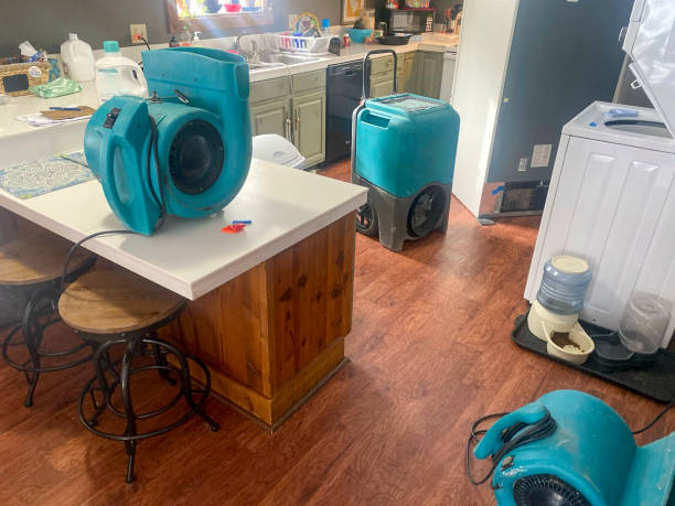 Best Carpet water damage restoration  in Bay Hill, FL