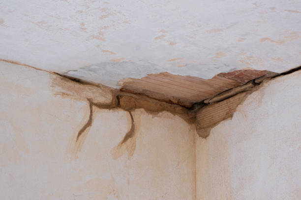 Best Emergency water damage restoration  in Bay Hill, FL