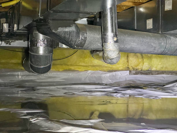 Best Flood restoration services  in Bay Hill, FL