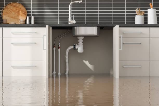 Best Basement water damage restoration  in Bay Hill, FL