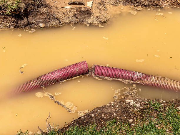 Best Mold removal after water damage  in Bay Hill, FL