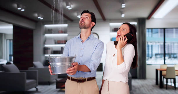 Best Water damage repair service  in Bay Hill, FL