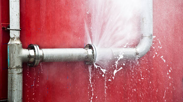 Best Ceiling water damage repair  in Bay Hill, FL